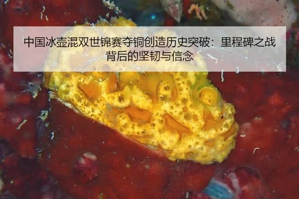 中国冰壶混双世锦赛夺铜创造历史突破：里程碑之战背后的坚韧与信念